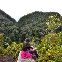Mt. Matutum Natural Park - General Santos