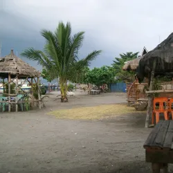 Tuna Festival - General Santos