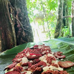 Bantakay Falls - Gumaca