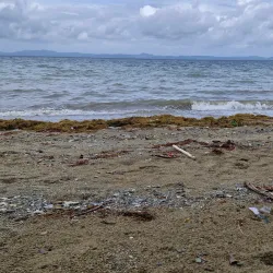 Punta de Uian Beach - Gumaca