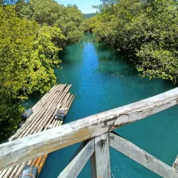 Ibajay Mangrove Forest - Ibajay