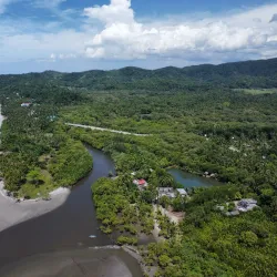 Ibajay Mangrove Forest - Ibajay