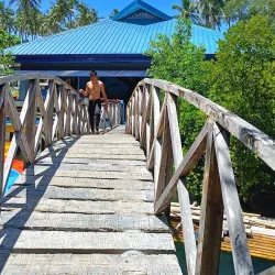 Ibajay Mangrove Forest - Ibajay