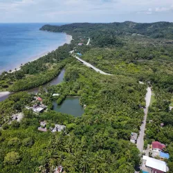 Ibajay Mangrove Forest - Ibajay