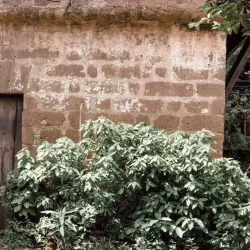 Bahay na Tisa (House of Tiles) - Imus