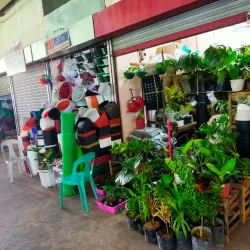 Imus Public Market - Imus