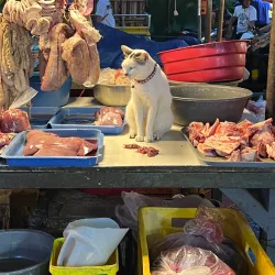 Imus Public Market - Imus