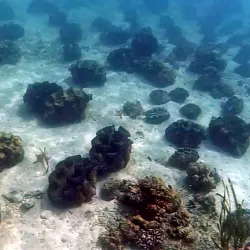 Giant Clam Sanctuary - Island Garden City of Samal