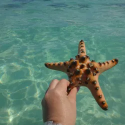 Giant Clam Sanctuary - Island Garden City of Samal