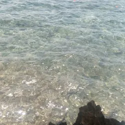 Maxima Aqua Fun - Island Garden City of Samal