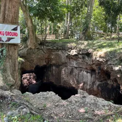 Monfort Bat Sanctuary - Island Garden City of Samal
