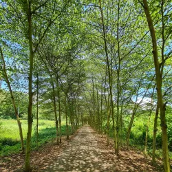 Monfort Bat Sanctuary - Island Garden City of Samal