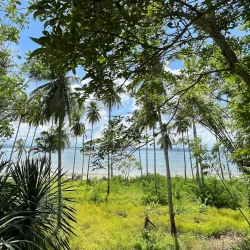 Monfort Bat Sanctuary - Island Garden City of Samal