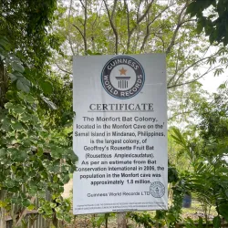 Monfort Bat Sanctuary - Island Garden City of Samal