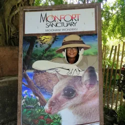 Monfort Bat Sanctuary - Island Garden City of Samal