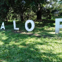 Monfort Bat Sanctuary - Island Garden City of Samal