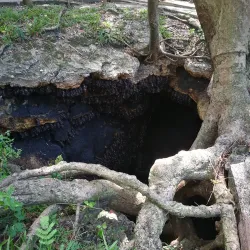 Monfort Bat Sanctuary - Island Garden City of Samal