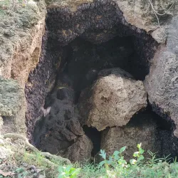 Monfort Bat Sanctuary - Island Garden City of Samal