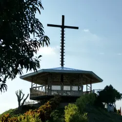 Samal Island Orchid Farm - Island Garden City of Samal