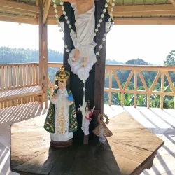 Samal Island Orchid Farm - Island Garden City of Samal