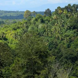 Samal Island Orchid Farm - Island Garden City of Samal