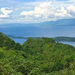 Samal Island Orchid Farm - Island Garden City of Samal