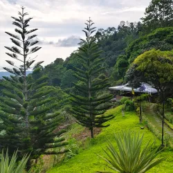 Samal Island Orchid Farm - Island Garden City of Samal