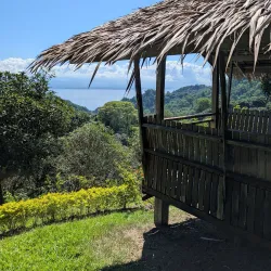 Samal Island Orchid Farm - Island Garden City of Samal