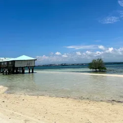 Vanishing Island - Island Garden City of Samal