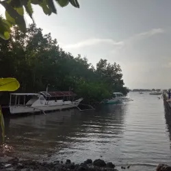 Vanishing Island - Island Garden City of Samal