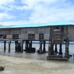 Vanishing Island - Island Garden City of Samal