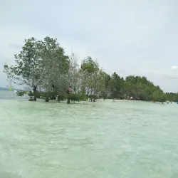 Vanishing Island - Island Garden City of Samal