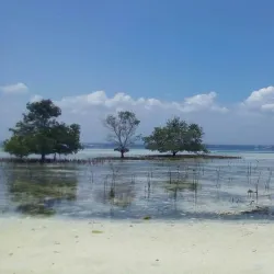 Vanishing Island - Island Garden City of Samal