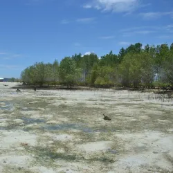 Vanishing Island - Island Garden City of Samal