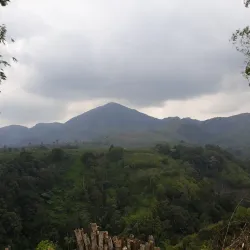 Mt. Apo Zipline Adventure - Kidapawan City