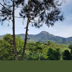 Mt. Apo Zipline Adventure - Kidapawan City