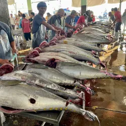 General Santos City Fish Port Complex - Koronadal City