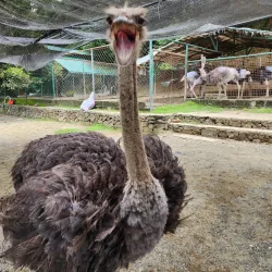 Baluarte Zoo - Laoag City