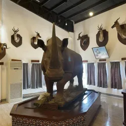 Baluarte Zoo - Laoag City