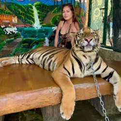 Baluarte Zoo - Laoag City