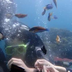 Mactan Island Aquarium - Lapu-Lapu