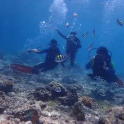 Mactan Island Dive Sites - Lapu-Lapu