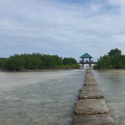 Olango Island Wildlife Sanctuary - Lapu-Lapu