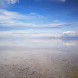 Olango Island Wildlife Sanctuary - Lapu-Lapu