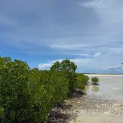 Olango Island Wildlife Sanctuary - Lapu-Lapu