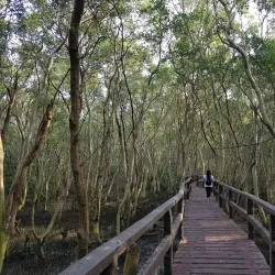Las Piñas-Parañaque Critical Habitat and Ecotourism Area (LPPCHEA) - Las Pinas