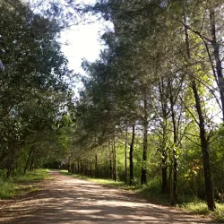Las Piñas-Parañaque Critical Habitat and Ecotourism Area (LPPCHEA) - Las Pinas