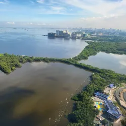 Las Piñas-Parañaque Critical Habitat and Ecotourism Area (LPPCHEA) - Las Pinas