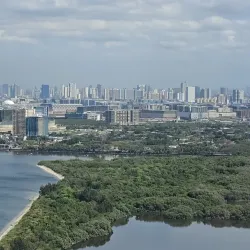Las Piñas-Parañaque Critical Habitat and Ecotourism Area (LPPCHEA) - Las Pinas