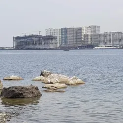 Las Piñas-Parañaque Critical Habitat and Ecotourism Area (LPPCHEA) - Las Pinas